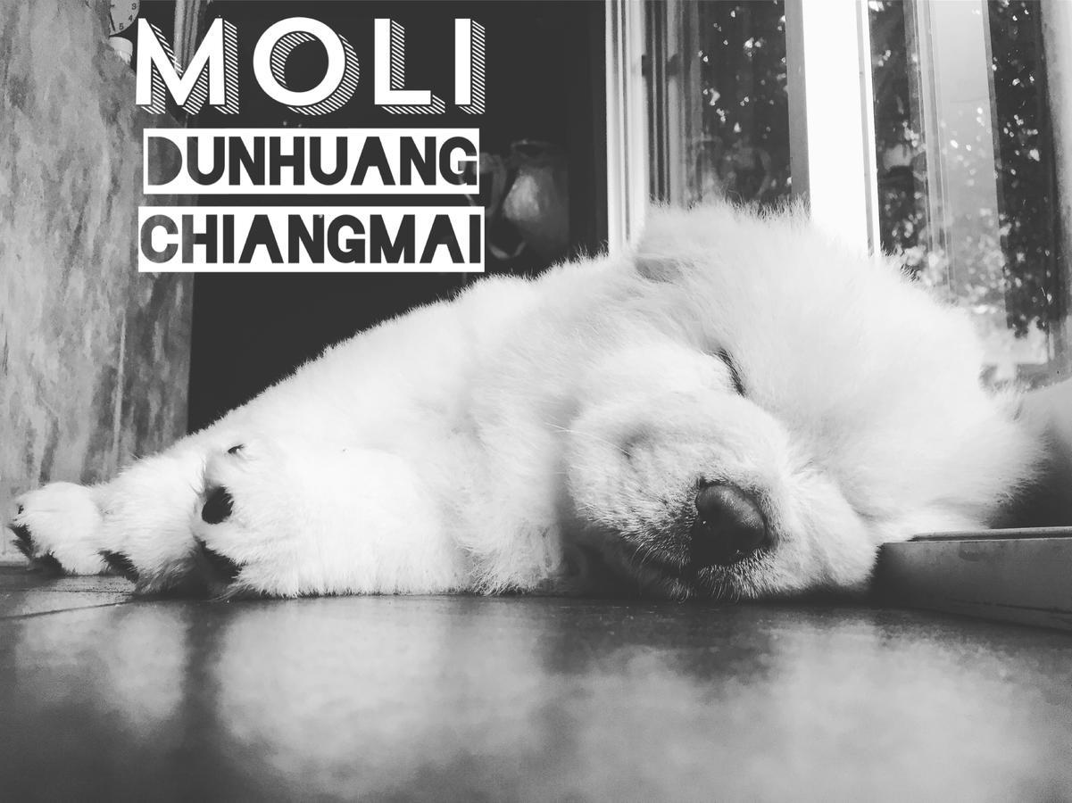 Chiangmai Moli Inn (Adults Only) شيانغ ماي المظهر الخارجي الصورة