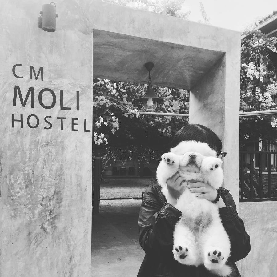 Chiangmai Moli Inn (Adults Only) شيانغ ماي المظهر الخارجي الصورة