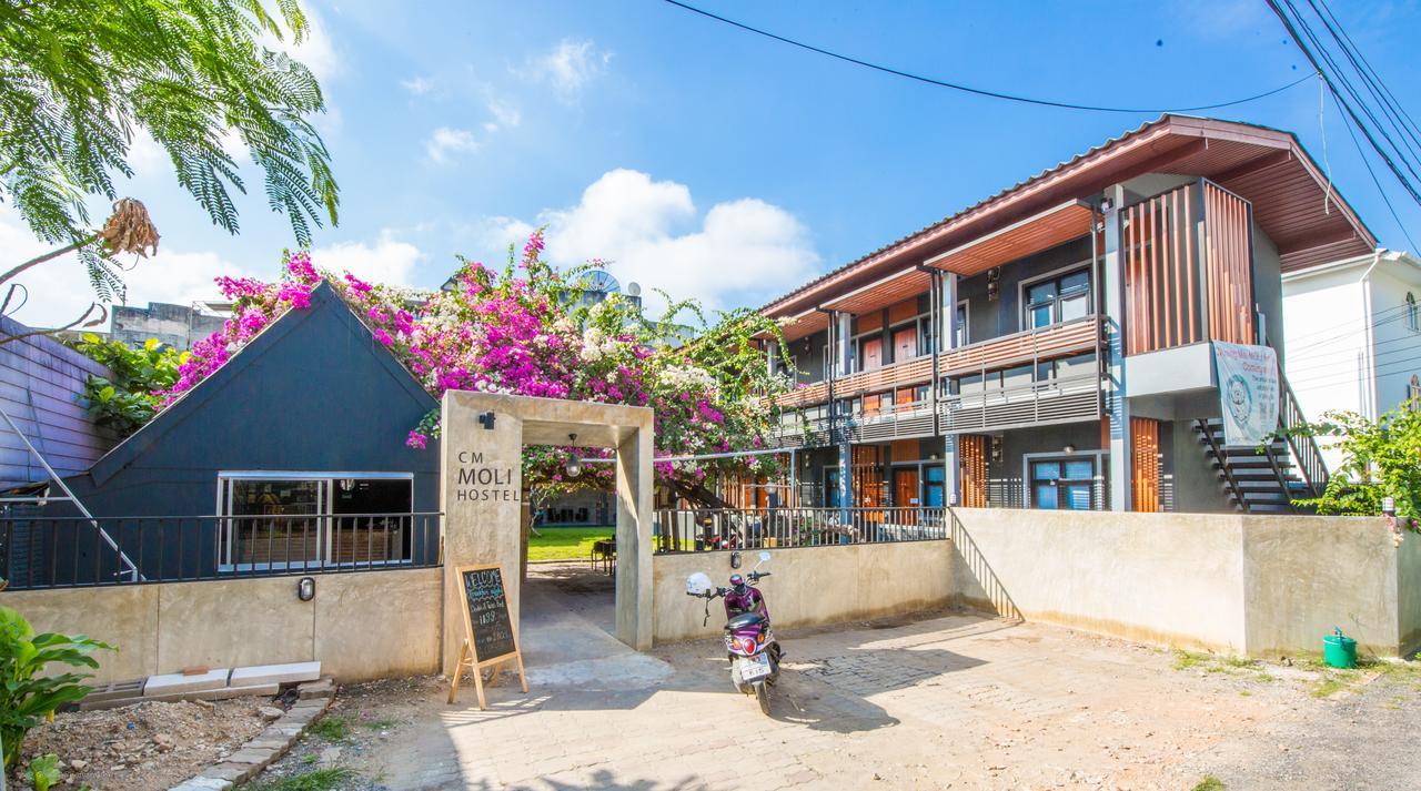 Chiangmai Moli Inn (Adults Only) شيانغ ماي المظهر الخارجي الصورة