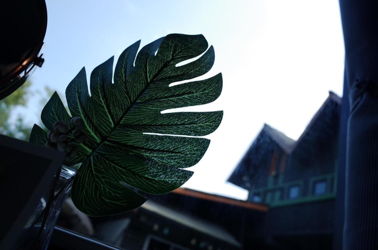 Chiangmai Moli Inn (Adults Only) شيانغ ماي المظهر الخارجي الصورة